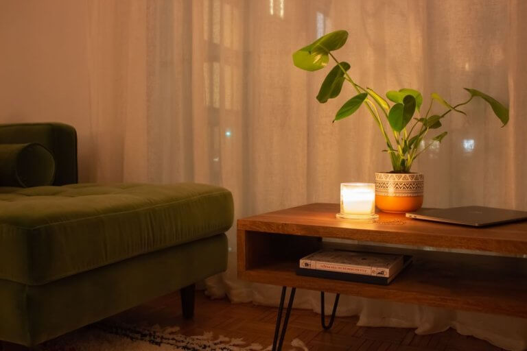 Cabinet de soin chaleureux à Nîmes, bougie, plante verte et lumière naturelle douce
