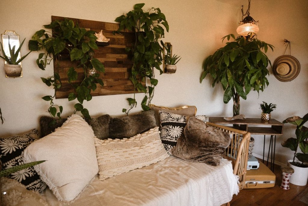 Espace de bien-être chaleureux en bois clair et plantes, cadre de la formation en énergétique à Nîmes